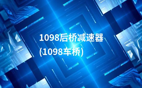 1098后桥减速器(1098车桥)