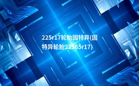 225r17轮胎固特异(固特异轮胎22565r17)