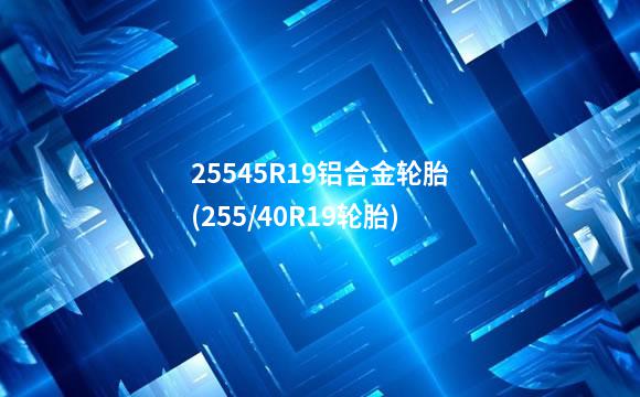 25545R19铝合金轮胎(255/40R19轮胎)