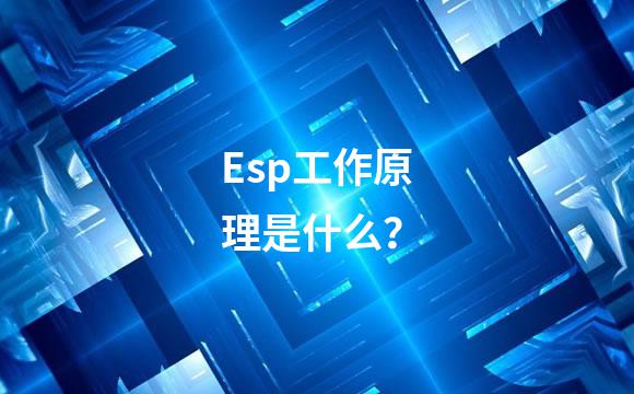 Esp工作原理是什么？