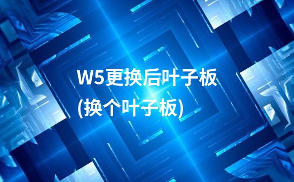 W5更换后叶子板(换个叶子板)