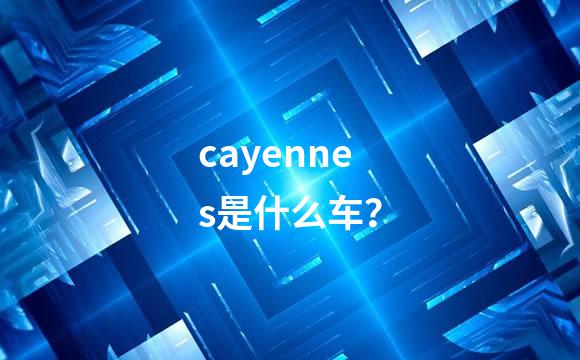 cayennes是什么车？