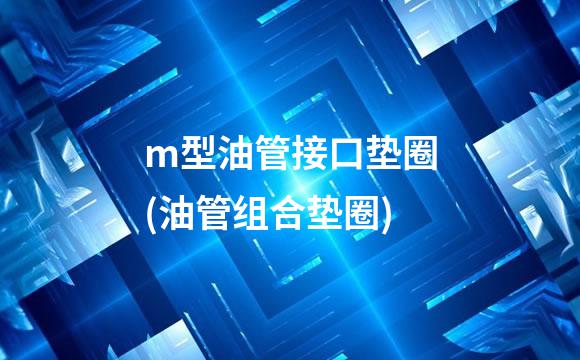 m型油管接口垫圈(油管组合垫圈)