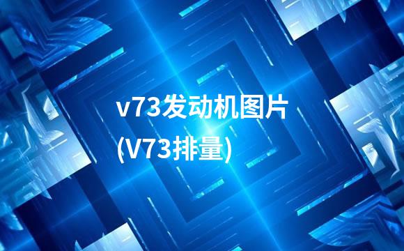 v73发动机图片(V73排量)