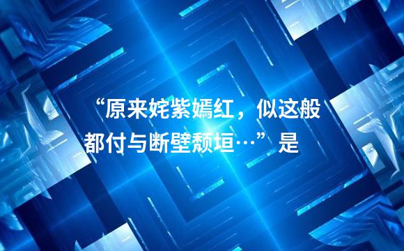 “原来姹紫嫣红，似这般都付与断壁颓垣…”是