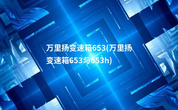 万里扬变速箱653(万里扬变速箱653与653h)