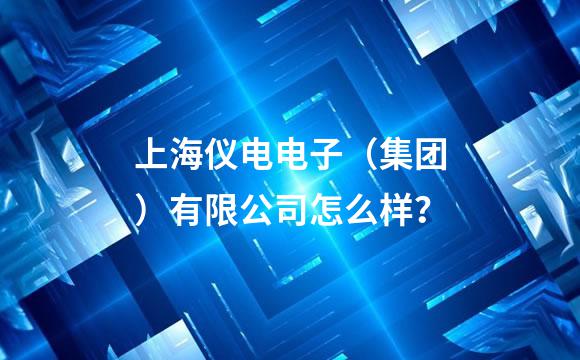 上海仪电电子（集团）有限公司怎么样？