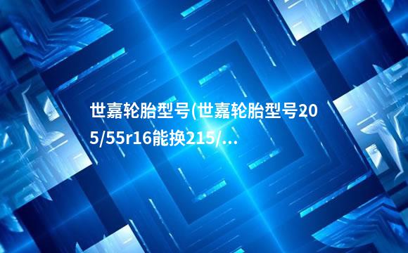 世嘉轮胎型号(世嘉轮胎型号205/55r16能换215/60XL16)