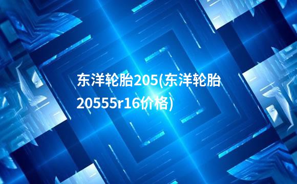 东洋轮胎205(东洋轮胎20555r16价格)