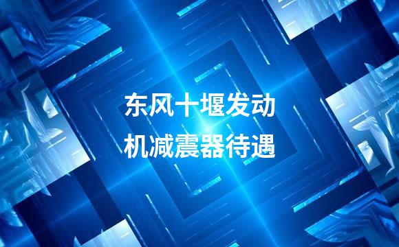东风十堰发动机减震器待遇