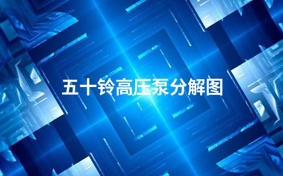 五十铃高压泵分解图