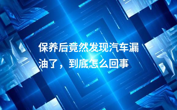 保养后竟然发现汽车漏油了，到底怎么回事