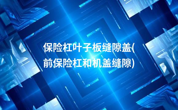 保险杠叶子板缝隙盖(前保险杠和机盖缝隙)
