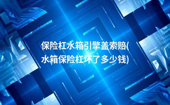 保险杠水箱引擎盖索赔(水箱保险杠坏了多少钱)