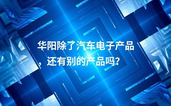 华阳除了汽车电子产品，还有别的产品吗？