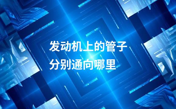 发动机上的管子分别通向哪里