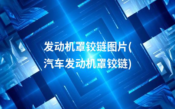 发动机罩铰链图片(汽车发动机罩铰链)