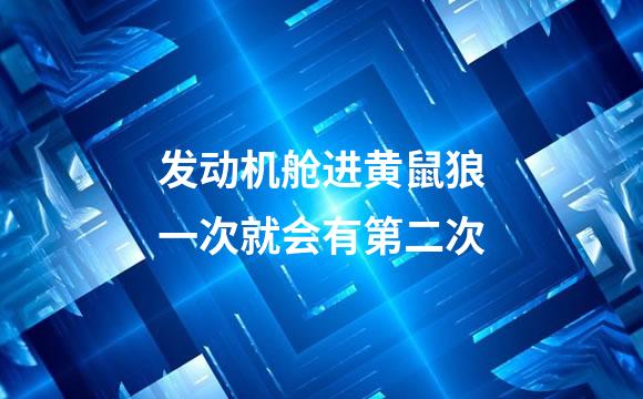 发动机舱进黄鼠狼一次就会有第二次