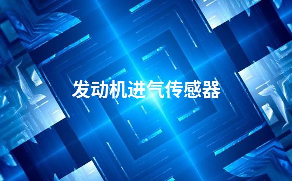 发动机进气传感器