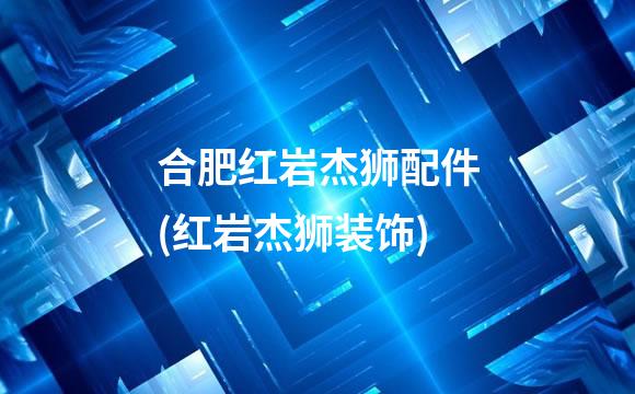 合肥红岩杰狮配件(红岩杰狮装饰)