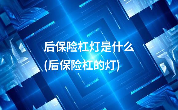 后保险杠灯是什么(后保险杠的灯)