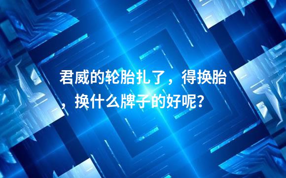 君威的轮胎扎了，得换胎，换什么牌子的好呢？