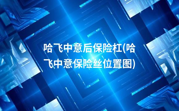 哈飞中意后保险杠(哈飞中意保险丝位置图)