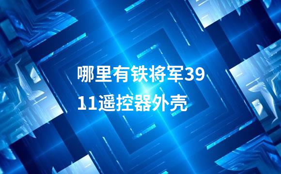 哪里有铁将军3911遥控器外壳