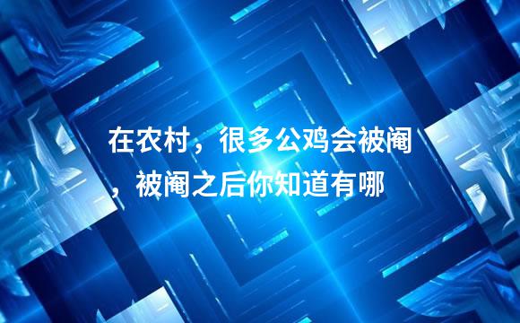 在农村，很多公鸡会被阉，被阉之后你知道有哪