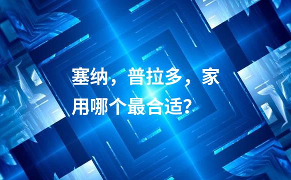 塞纳，普拉多，家用哪个最合适？