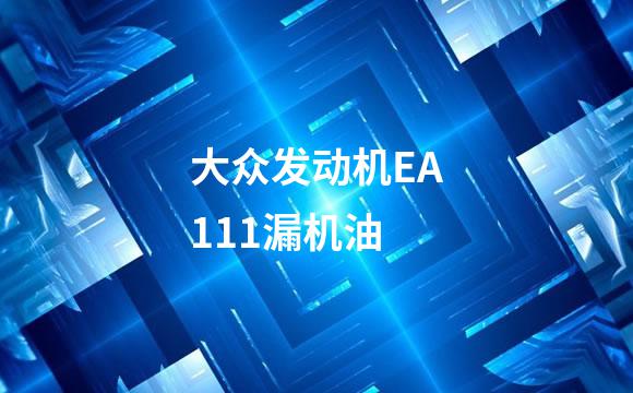 大众发动机EA111漏机油