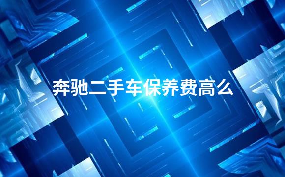 奔驰二手车保养费高么