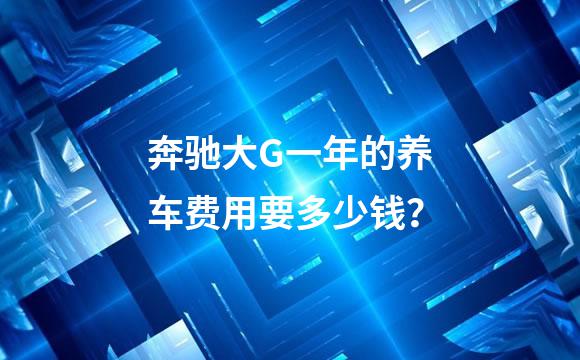 奔驰大G一年的养车费用要多少钱？