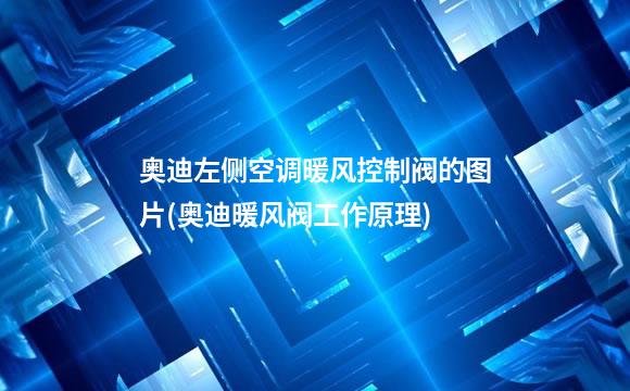 奥迪左侧空调暖风控制阀的图片(奥迪暖风阀工作原理)