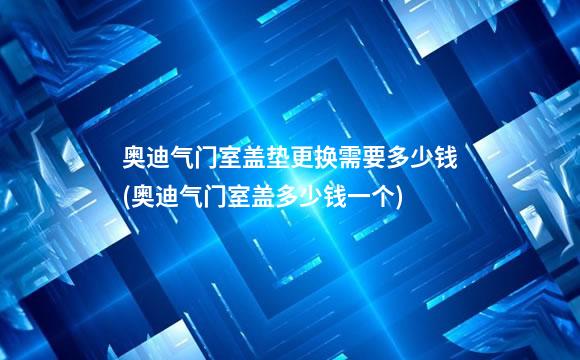 奥迪气门室盖垫更换需要多少钱(奥迪气门室盖多少钱一个)