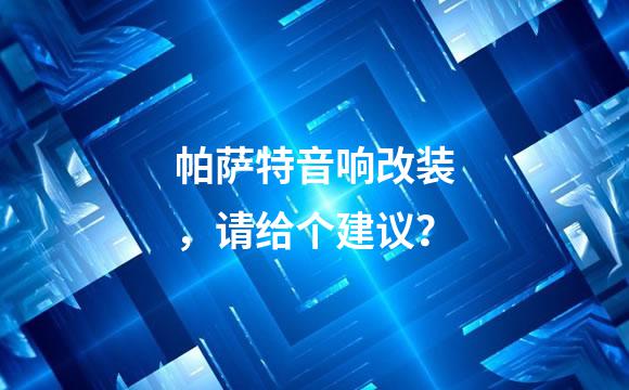 帕萨特音响改装，请给个建议？
