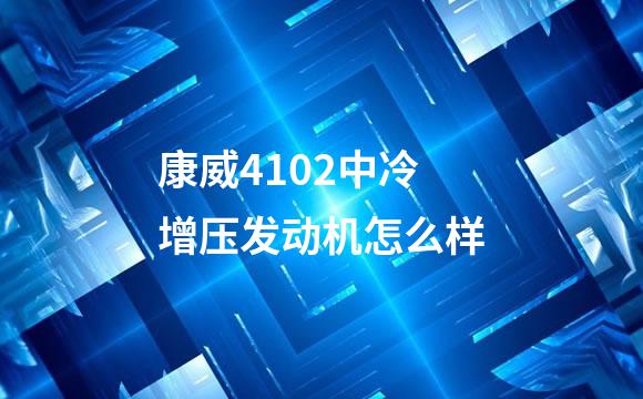 康威4102中冷增压发动机怎么样