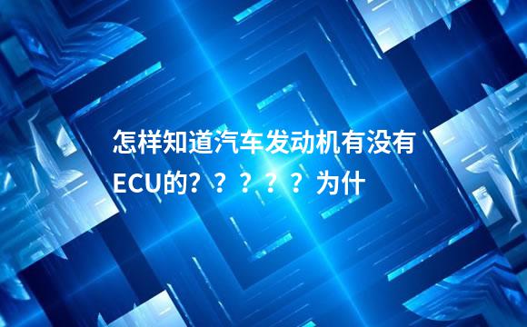 怎样知道汽车发动机有没有ECU的？？？？？为什