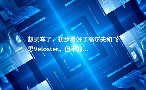 想买车了，初步看好了高尔夫和飞思Veloster，但不知道如何取舍了，各位给些建议呗？