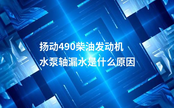 扬动490柴油发动机水泵轴漏水是什么原因