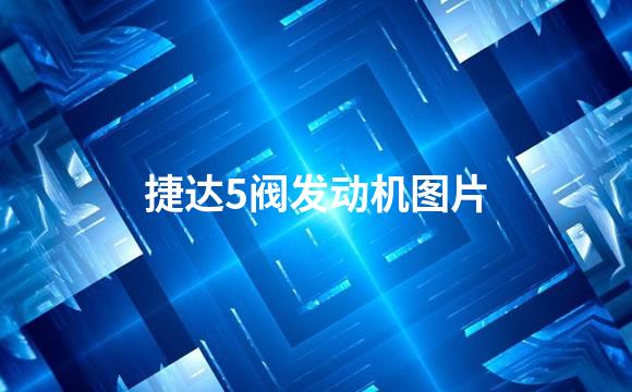 捷达5阀发动机图片