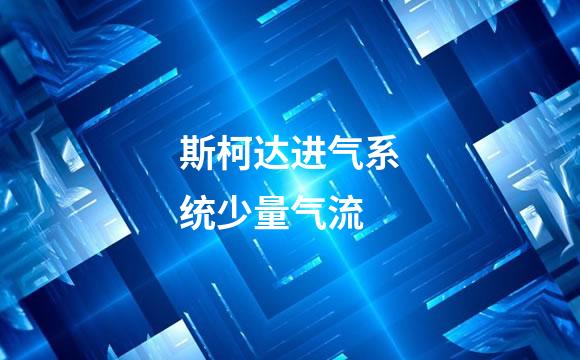 斯柯达进气系统少量气流