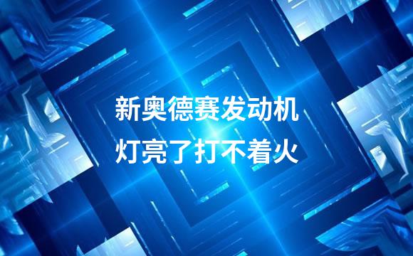 新奥德赛发动机灯亮了打不着火