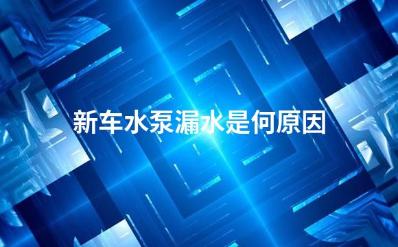 新车水泵漏水是何原因