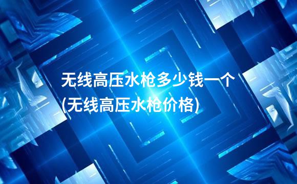无线高压水枪多少钱一个(无线高压水枪价格)