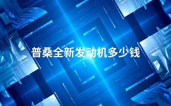 普桑全新发动机多少钱