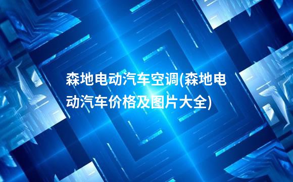 森地电动汽车空调(森地电动汽车价格及图片大全)
