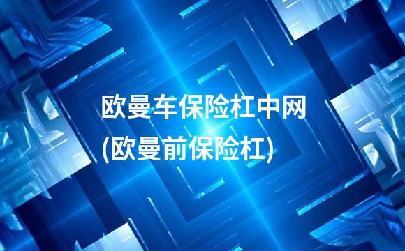 欧曼车保险杠中网(欧曼前保险杠)