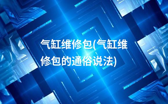 气缸维修包(气缸维修包的通俗说法)