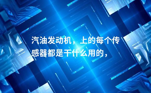 汽油发动机，上的每个传感器都是干什么用的，